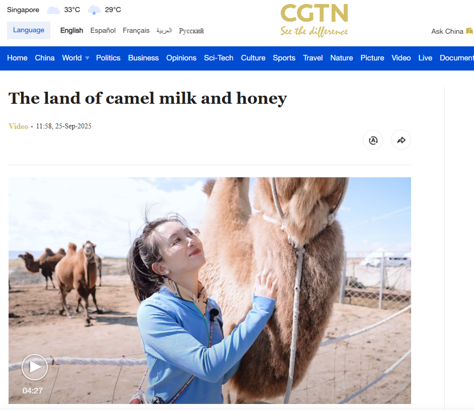 CGTN報道丨駝奶產業撬動鄉村振興，千年游牧文明煥發新生機！